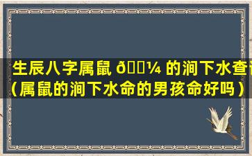 生辰八字属鼠 🐼 的涧下水查询（属鼠的涧下水命的男孩命好吗）